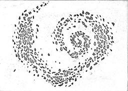 03-Barniz-de-levantado