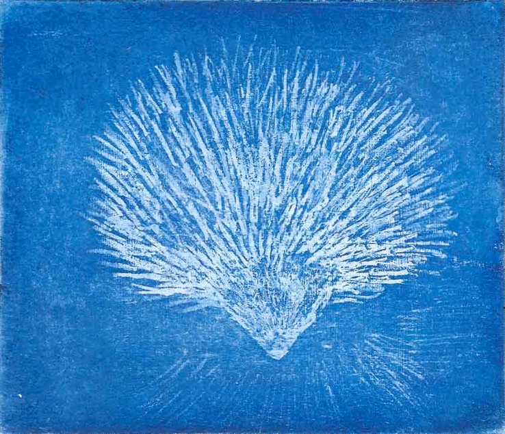 06-Azul-Grabado-Andela